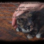 madacc-psa